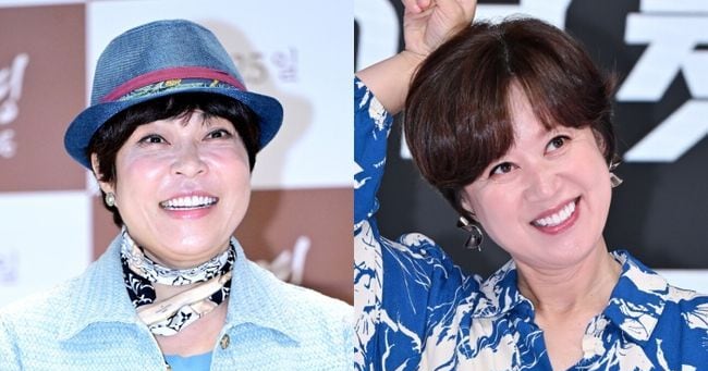 Cho Hye-lyun Longs for Park Mi-sun Amid Cancer Battle - 조선일보