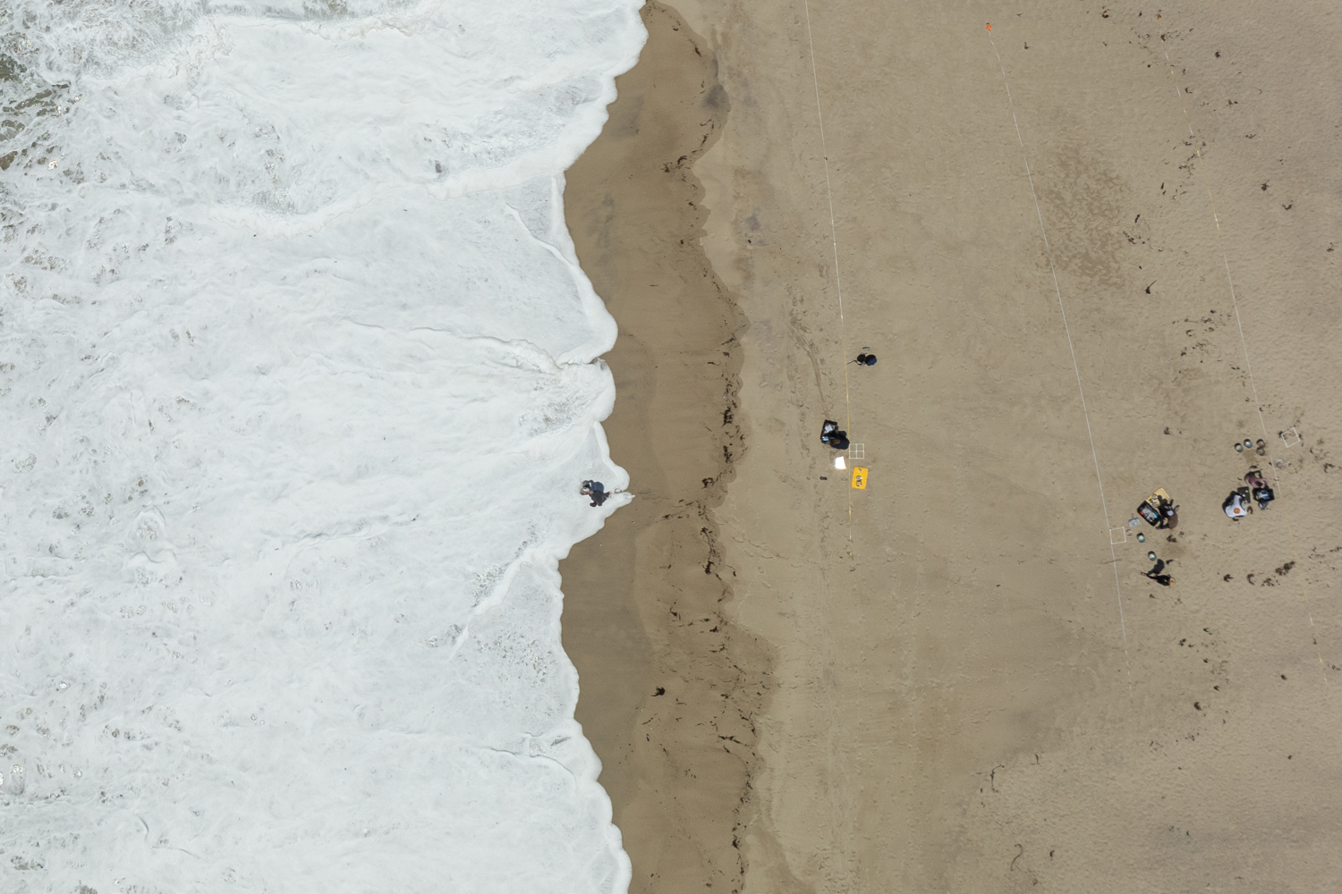 Image of researchers collecting samples at the beach.