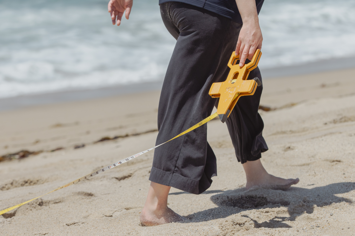 Image of Rebecca Roberts measuring collection sites from the high tide water line.