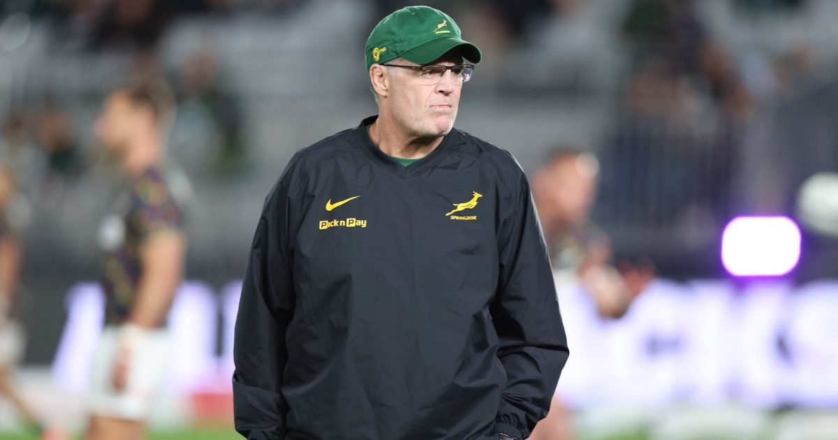 Rassie Erasmus addresses moment of fury with telling image online