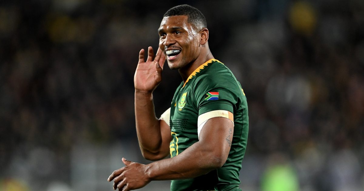 Springboks player ratings vs All Blacks