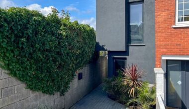 ‘I squeezed a whole house into a side passage in Bray – the results inside might surprise you’