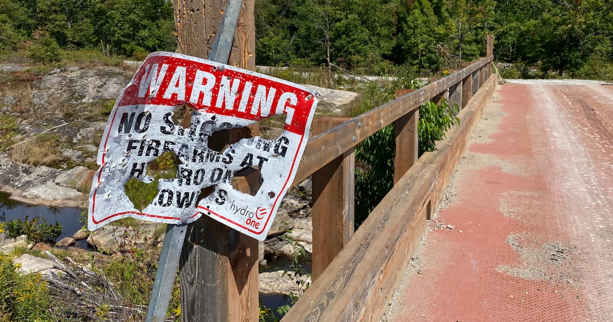 Brampton man arrested in connection with ‘reckless gunfire’ in Muskoka - CTV News