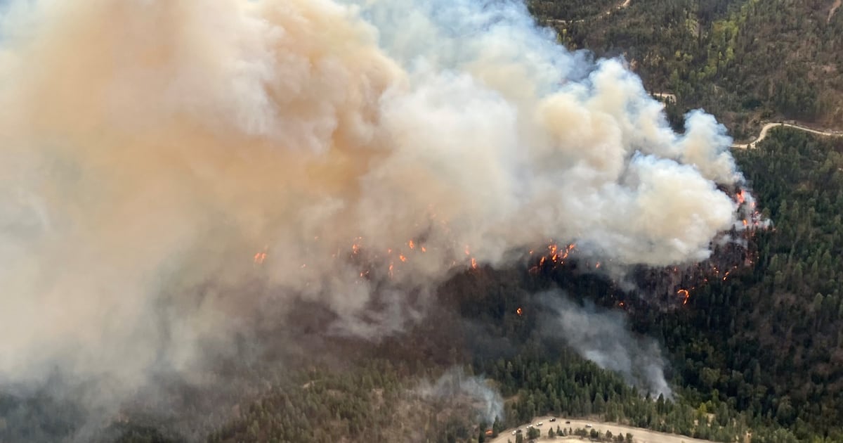 Wildfire outside Peachland, B.C., triggers hundreds of evacuations - CTV News