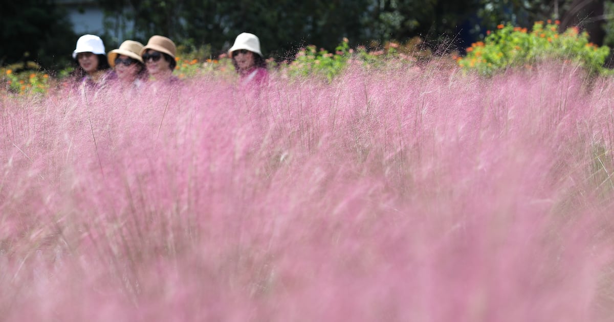 Cool Autumn Arrives as Morning Lows Plunge to 12°C - 조선일보