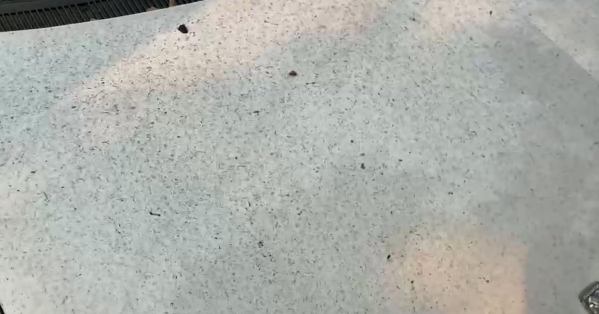 Blanket of ash that fell on B.C.’s capital region was not from Mount St. Helens: officials - CTV News