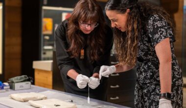 Centuries-old artifacts discovered for sale at B.C. thrift store for $30 - CTV News