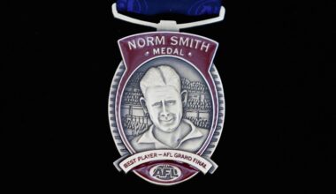 AFL confirms 2025 Norm Smith voting panel