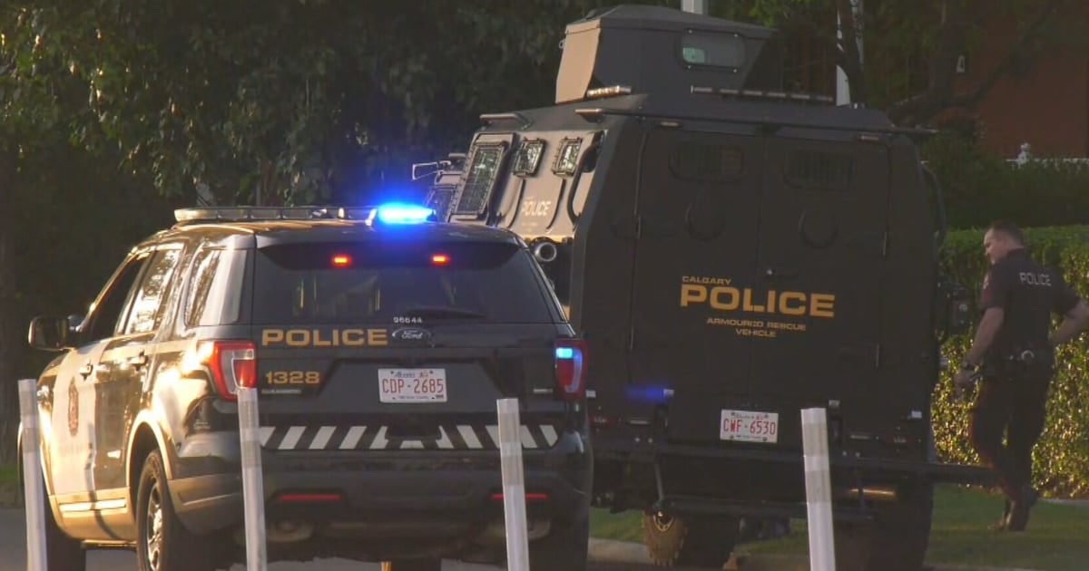 Woman charged in Rosedale active shooter situation; deceased suspect identified - CTV News