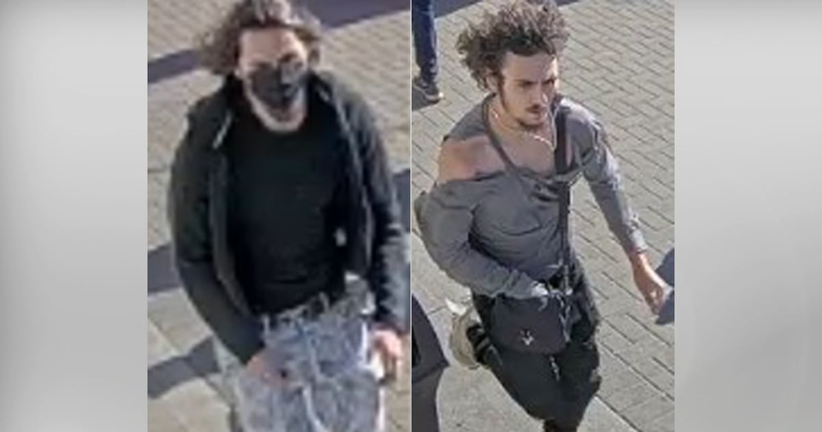 Police arrest man, search for 2 more suspects in East York stabbing - CTV News