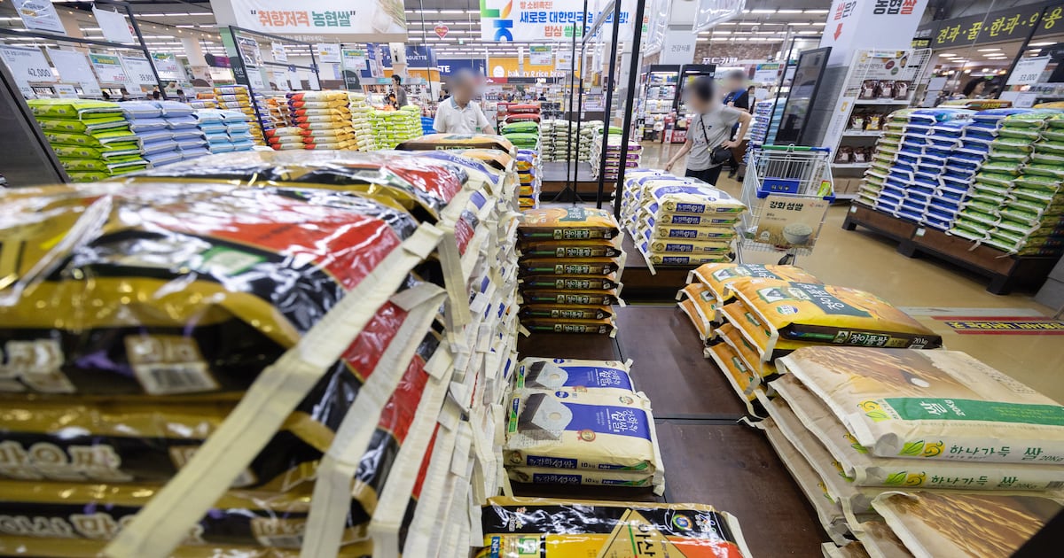 Rice prices exceed 60,000 won, government expands discounts - 조선일보