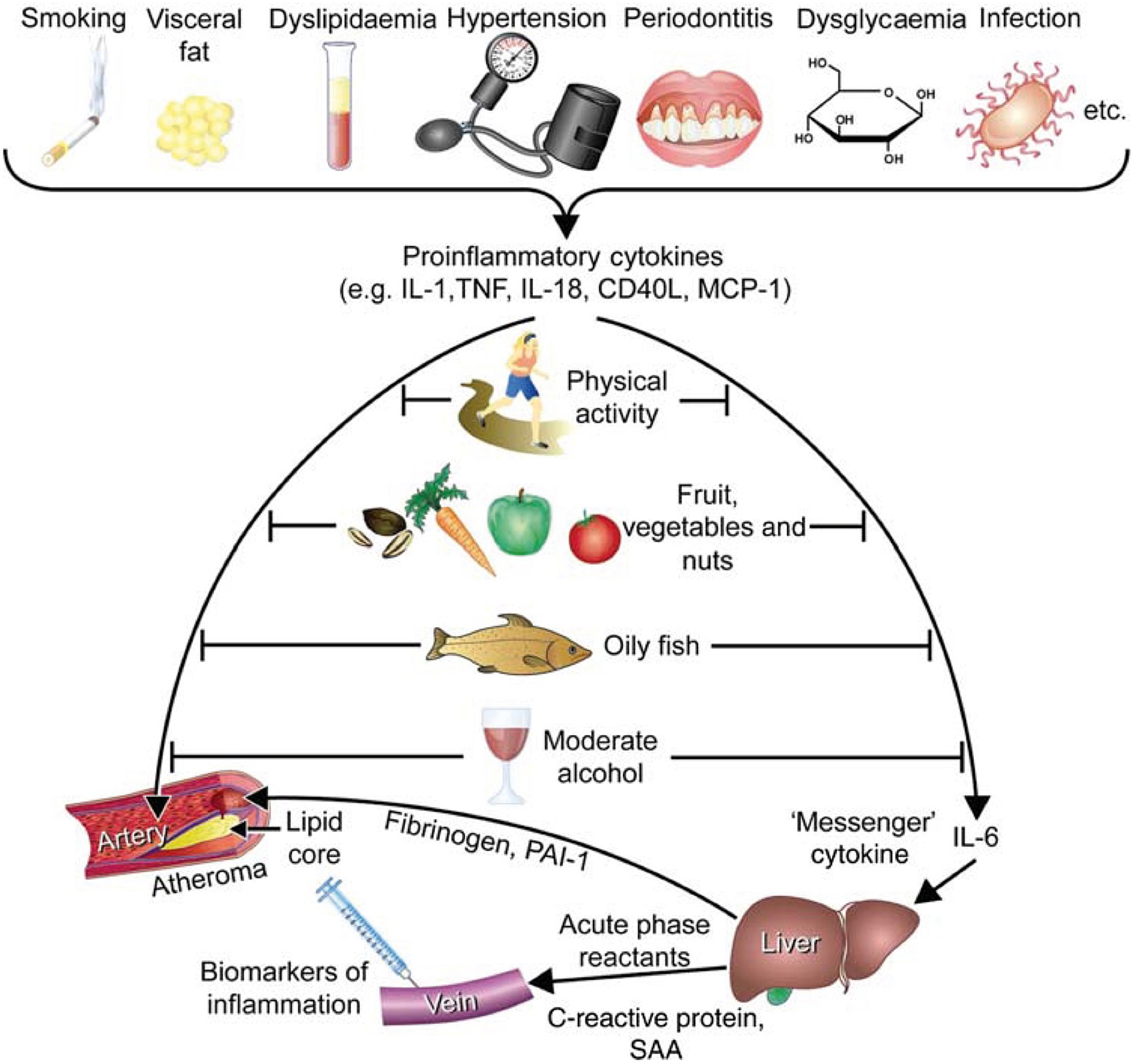 JACC Central Illustration