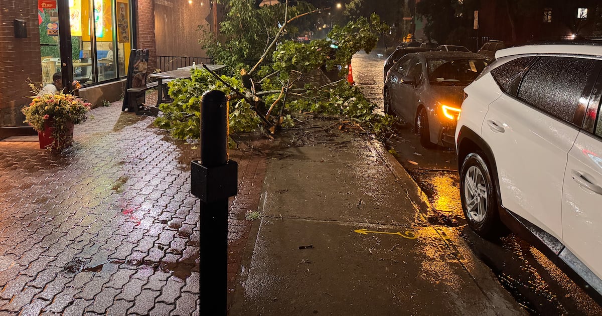 Thousands without power in Quebec as stormy weather approaches - CTV News