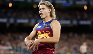 Lions stars in touching distance, perfect Danger