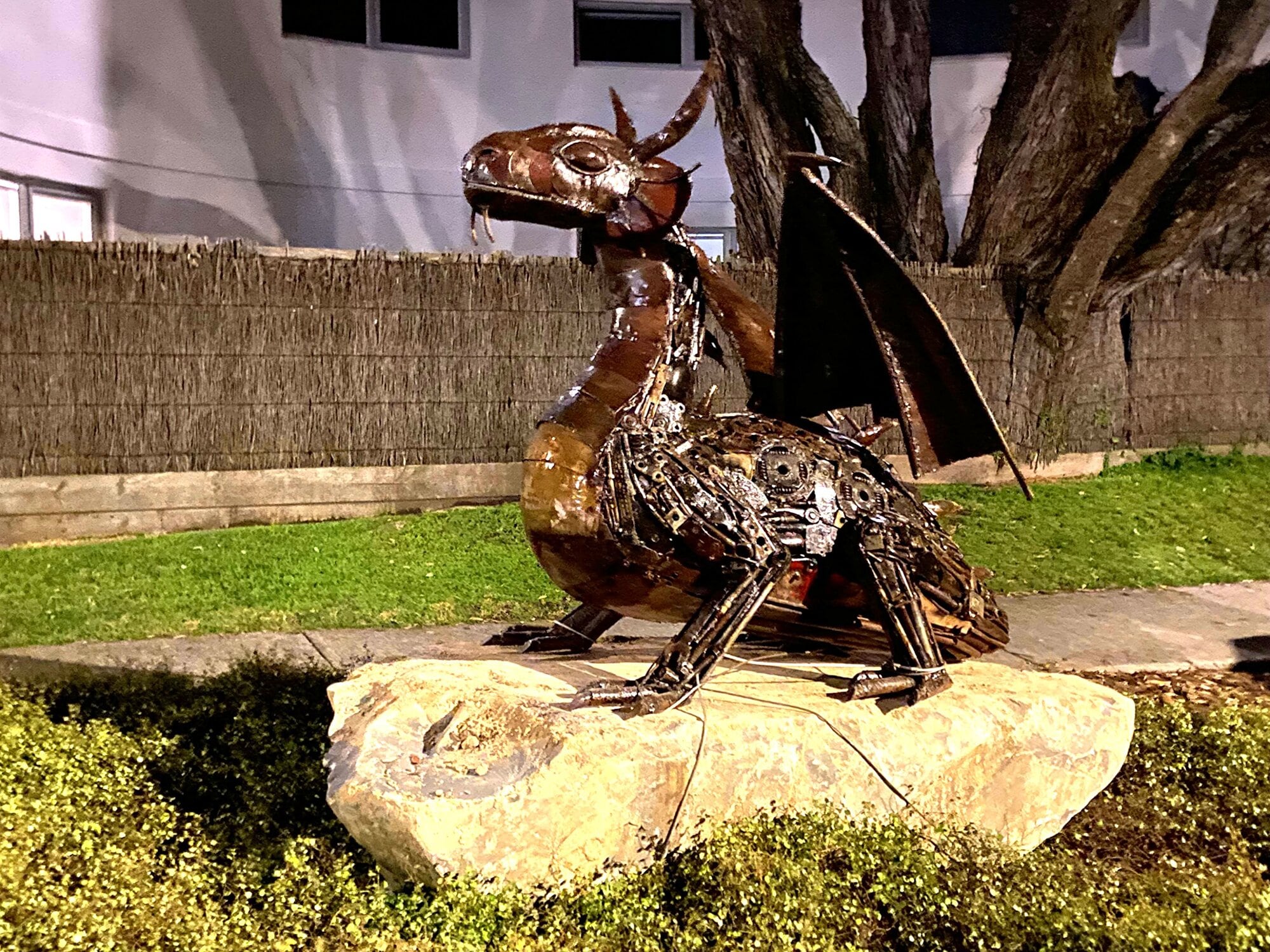  The dragon, made from scrap metal, sitting on a large rock at night, at the end of Commons Ave, near Pilot Bay.  Photo / Rosalie Liddle Crawford
