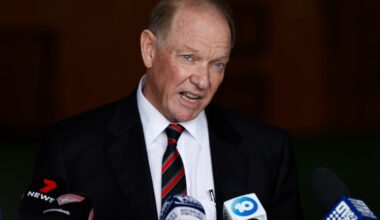 Essendon president steps down, former player to take reins