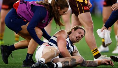 The full AFL injury list, GF