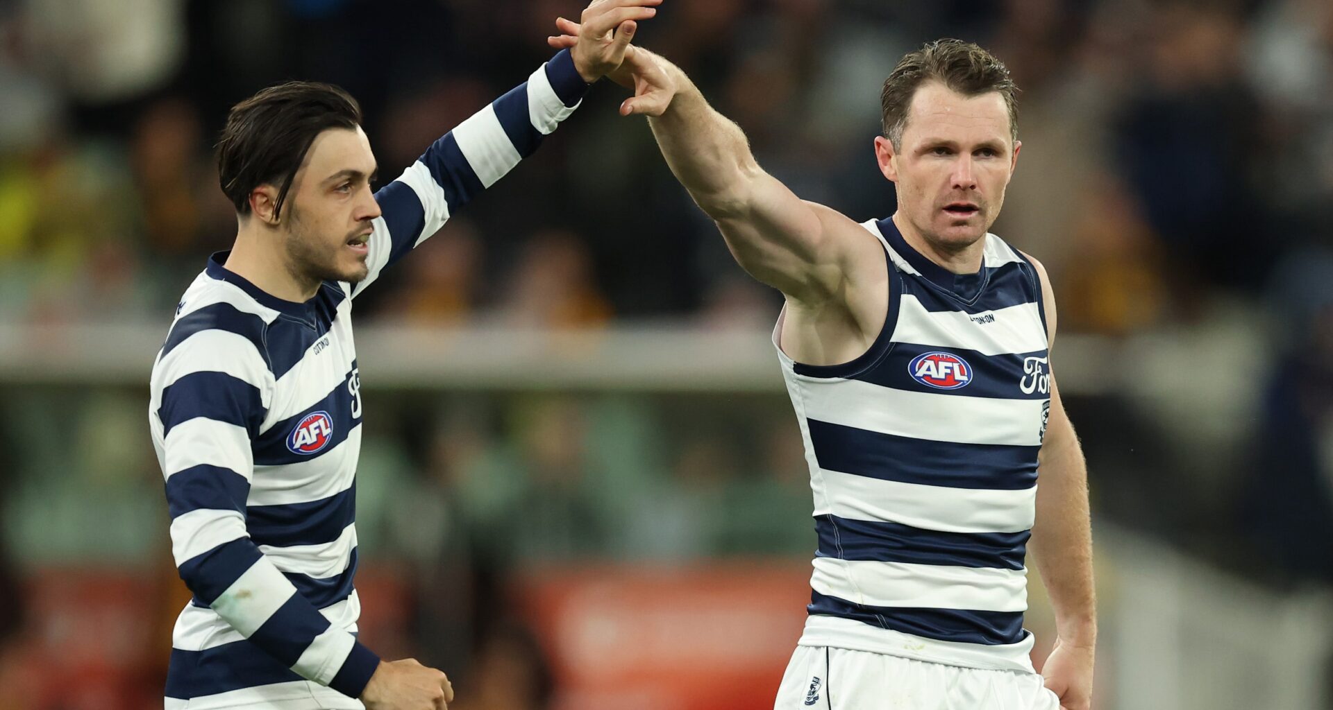 Danger drives Cats home over Hawks but star to miss Grand Final