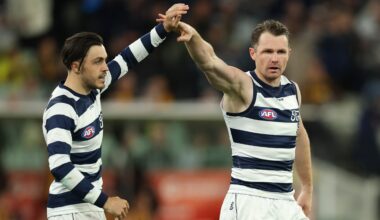 Danger drives Cats home over Hawks but star to miss Grand Final