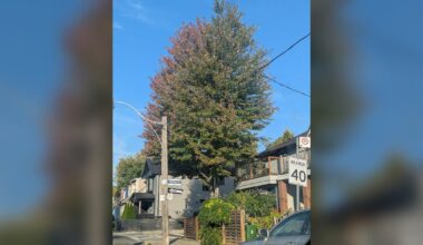 Comfortable conditions to continue into the fall in the GTA as summer comes to an end: climatologist