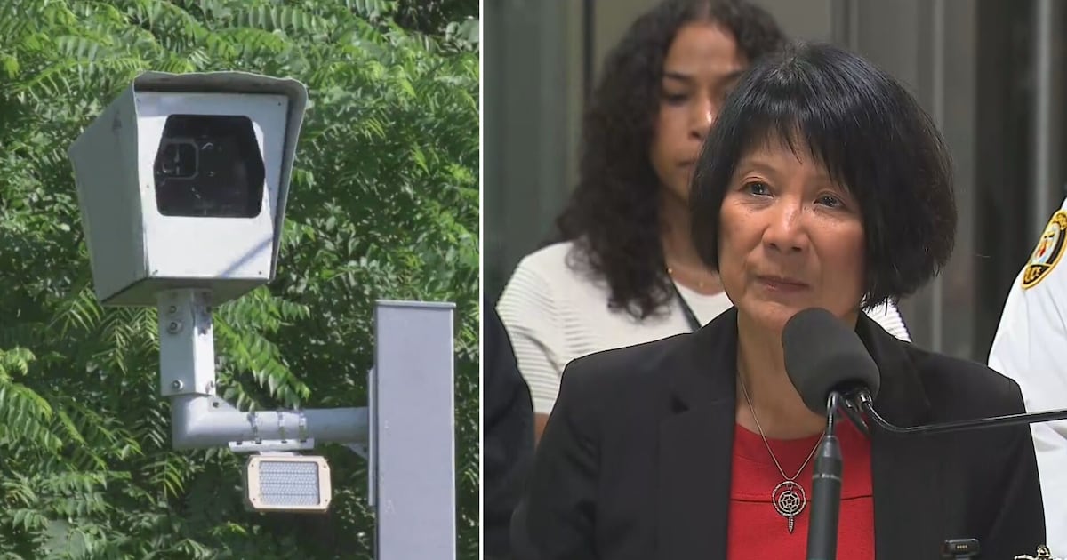 Chow expresses support for Toronto's speed camera program, as Ford threatens to scrap it