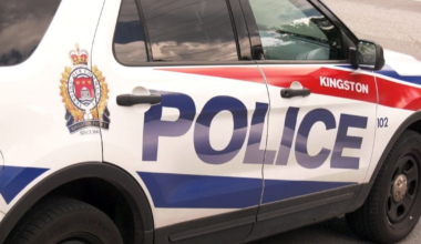 Police shut down Kingston Fall Fair early Saturday night after bear spray incident - CTV News