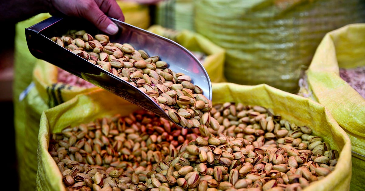 Canada bans pistachio imports from Iran amid salmonella outbreak: What consumers need to know - CTV News