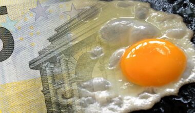 We may just have found the most expensive egg in Ireland – The Irish Times