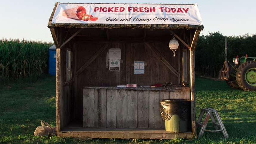 Guelph woman charged in apple theft from Shuh Orchards