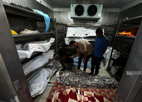 Saturday Update: Gaza Death Toll Rises to 107, Dozens Injured |