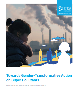 Towards Gender-Transformative Action on Super Pollutants Cover