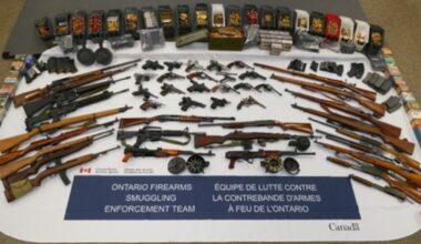 CBSA seizes 48 guns, thousands of rounds of ammo in Windsor, Ont. - CTV News