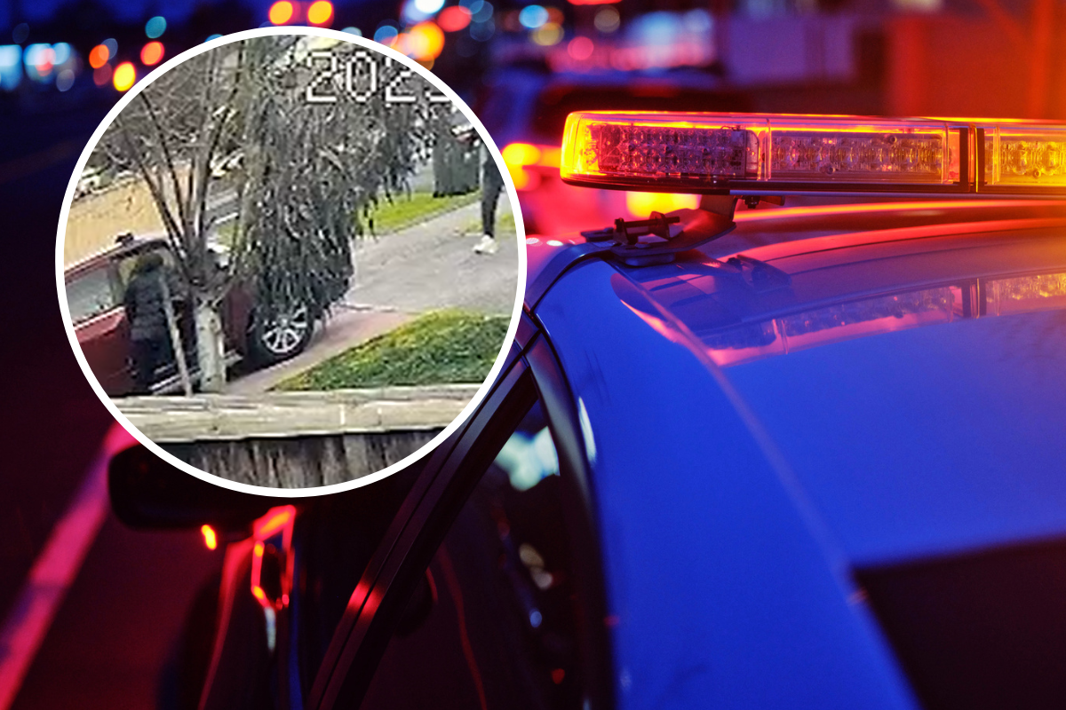 Children abducted, 'dumped' on roadside in horror carjacking