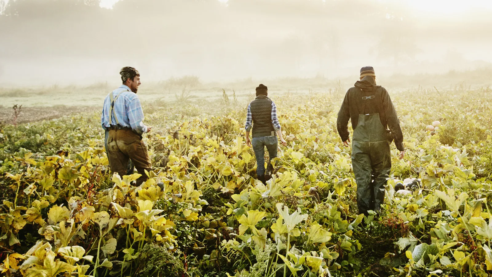 Executive Action Brief on Community Resilience