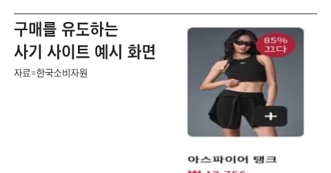 Korea Consumer Agency warns of fake brand sites via SNS ads - 조선일보