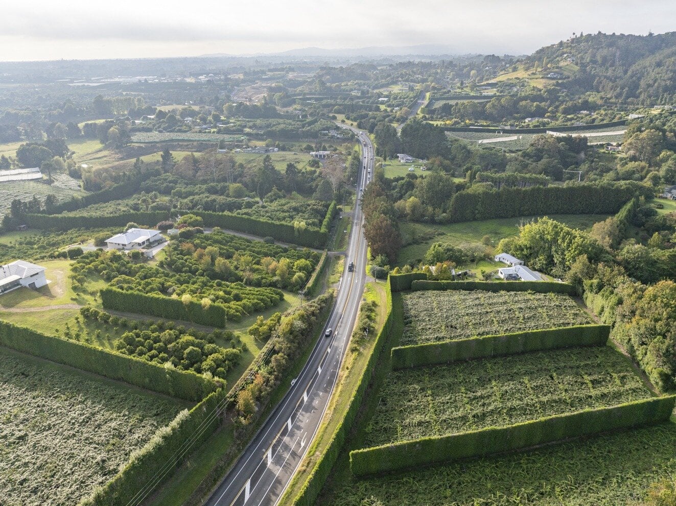 Margaret Murray-Benge wants a commitment from the Government to build roads and state highways as part of a regional deal.  Photo / NZTA Waka Kotahi