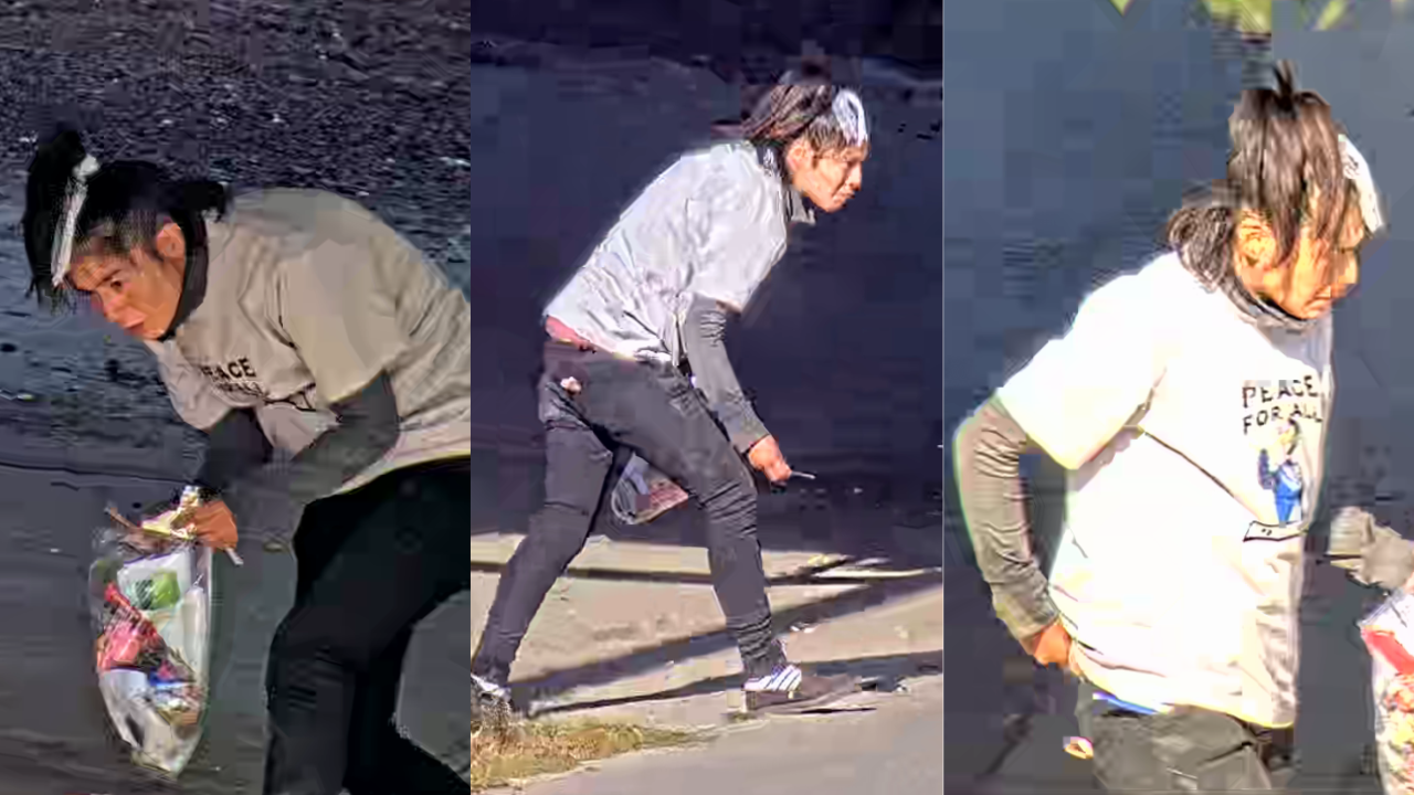 Woman sought in connection to fatal e-bike crash: Calgary police