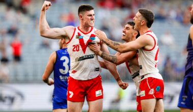South Fremantle caps near-perfect WAFL season with flag win over East Perth