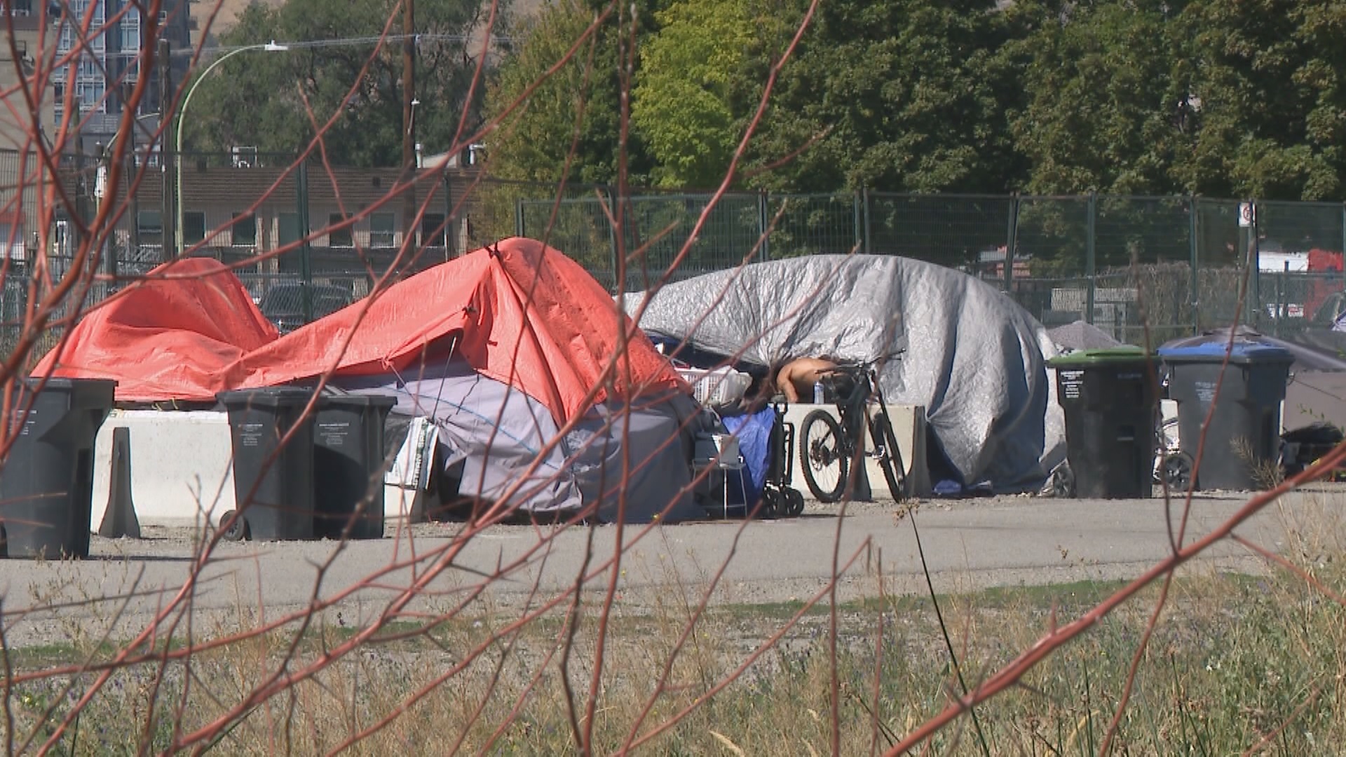 Click to play video: 'Kelowna Chamber of Commerce warns businesses may be forced to close if street disorder continues'