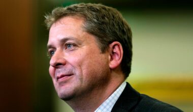 Conservatives will work with Liberals on some issues, Scheer says - CTV News