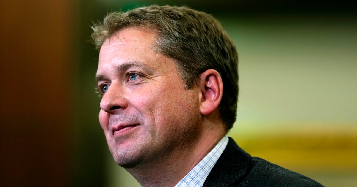 Conservatives will work with Liberals on some issues, Scheer says - CTV News