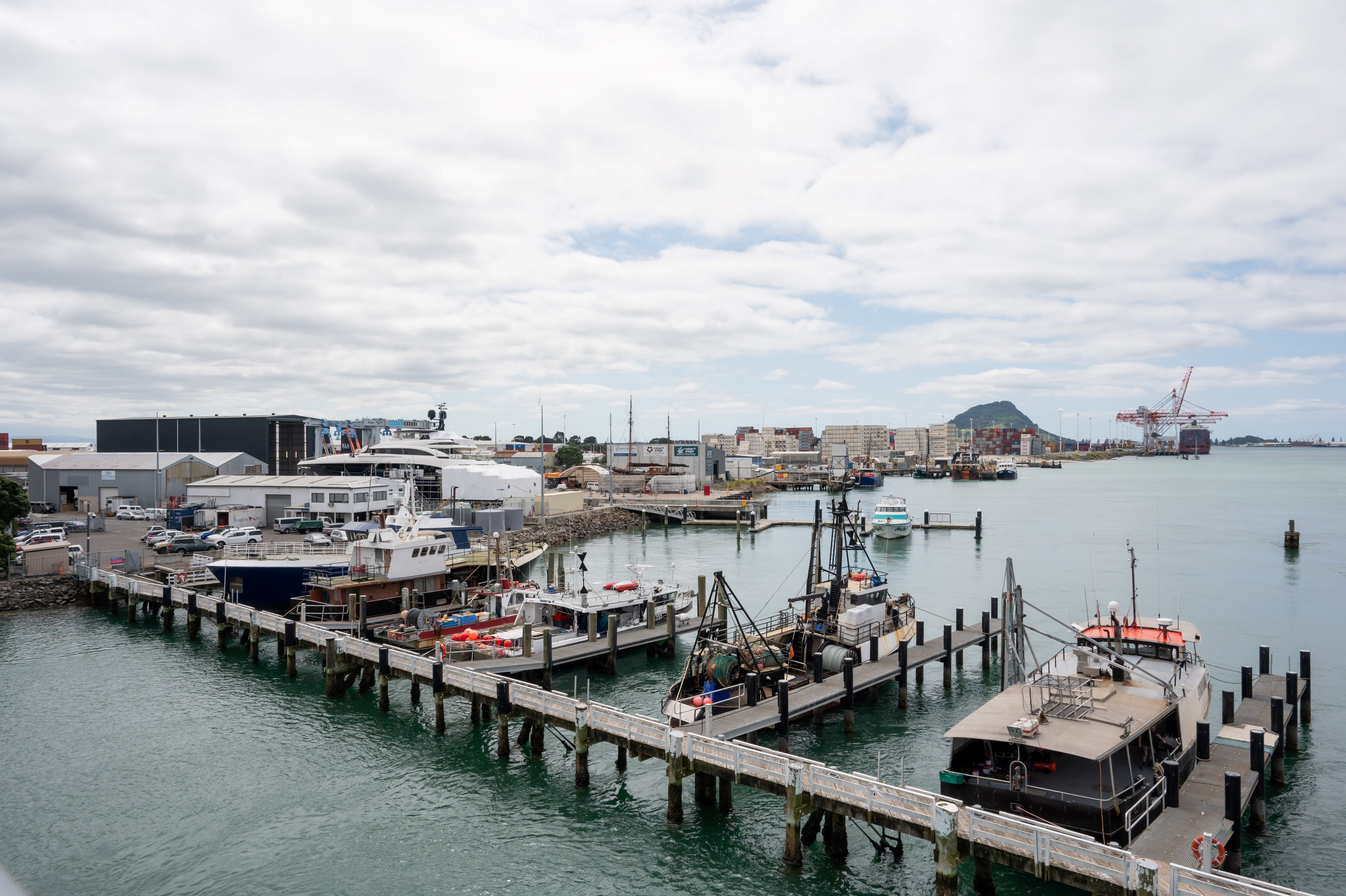 Tauranga's marine precinct at Sulphur Point was sold for $13.98 million to a Christchurch developer. Photo / Brydie Thompson