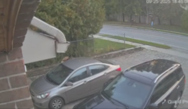 Video shows shooting in Richmond Hill that left 47-year-old man dead - CTV News