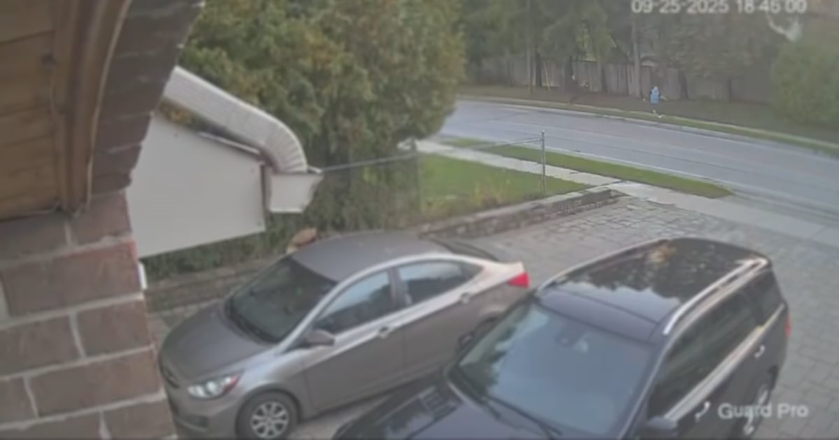 Video shows shooting in Richmond Hill that left 47-year-old man dead - CTV News