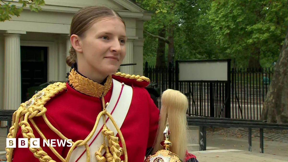 Illuminated: The Cat Killer Detectives