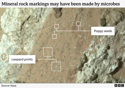 Graphic showing a close-up view of the rocks on Mars, with annotated labels to describe the leopard print and poppy seed nicknames