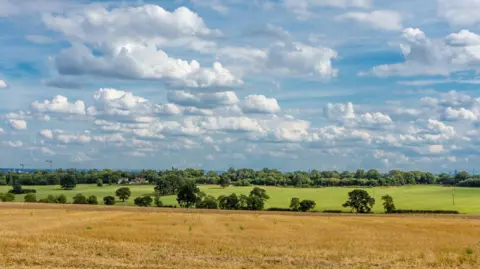 Getty Images A general view of an agricultural field in Enfield.