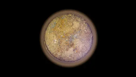 NASA/JPL Image of a core of rock taken from Mars. The image shows a circular slice through of the rock sample  against a black background. The sample is orange and dotted with white, grey and black marks.  