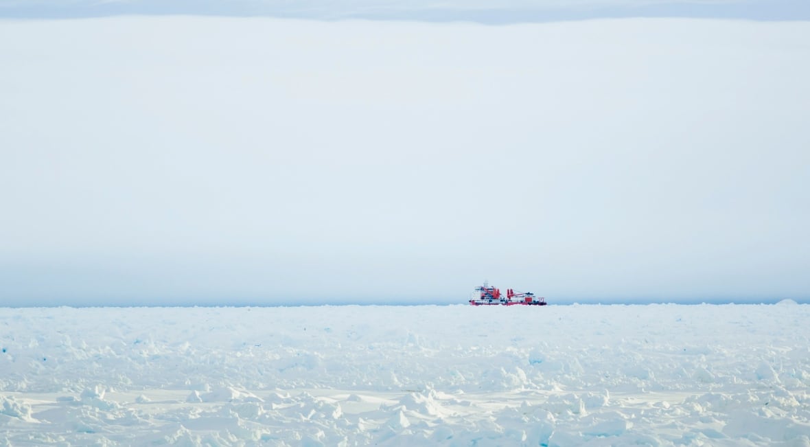 A ship is faintly visible in the distance amid ice pack and a wide, white sky.