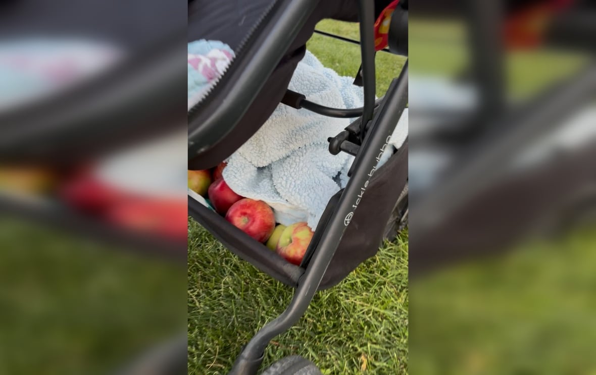 Photo of apples in a stroller